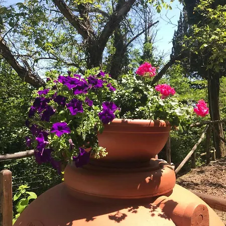 Apartment Antica Dimora Di Laura Barberino di Mugello